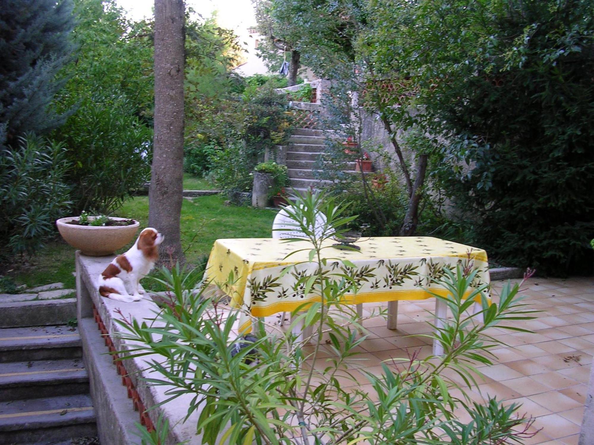 Le Jardin Appartement Gréoux-les-Bains Buitenkant foto